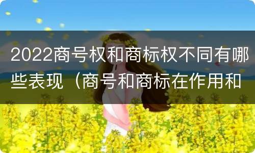 2022商号权和商标权不同有哪些表现（商号和商标在作用和性质上的区别）