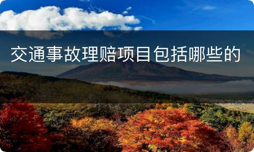 交通事故理赔项目包括哪些的