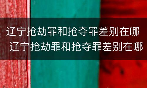辽宁抢劫罪和抢夺罪差别在哪 辽宁抢劫罪和抢夺罪差别在哪里