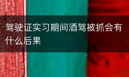 驾驶证实习期间酒驾被抓会有什么后果