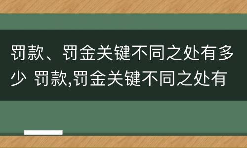 罚款、罚金关键不同之处有多少 罚款,罚金关键不同之处有多少钱