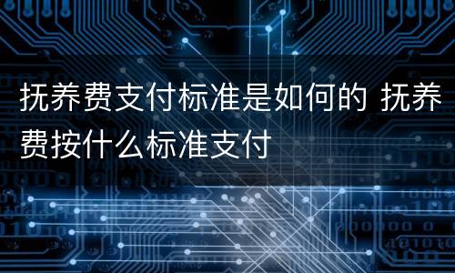 抚养费支付标准是如何的 抚养费按什么标准支付