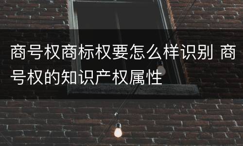 商号权商标权要怎么样识别 商号权的知识产权属性