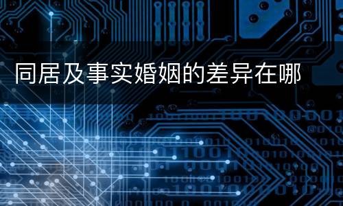 同居及事实婚姻的差异在哪