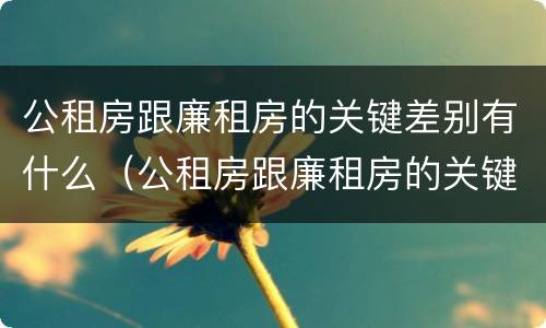 公租房跟廉租房的关键差别有什么（公租房跟廉租房的关键差别有什么不同）