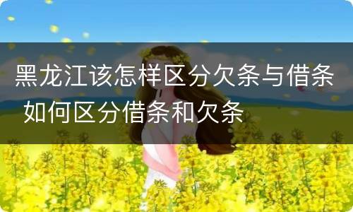 黑龙江该怎样区分欠条与借条 如何区分借条和欠条