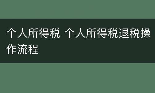 个人所得税 个人所得税退税操作流程