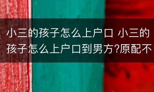 小三的孩子怎么上户口 小三的孩子怎么上户口到男方?原配不同意