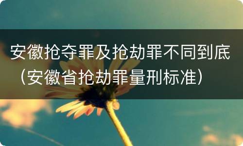 安徽抢夺罪及抢劫罪不同到底（安徽省抢劫罪量刑标准）