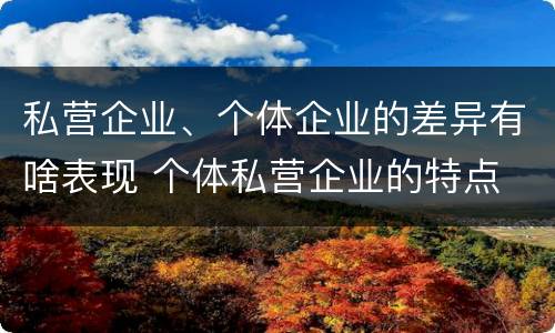 私营企业、个体企业的差异有啥表现 个体私营企业的特点