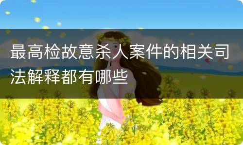 最高检故意杀人案件的相关司法解释都有哪些