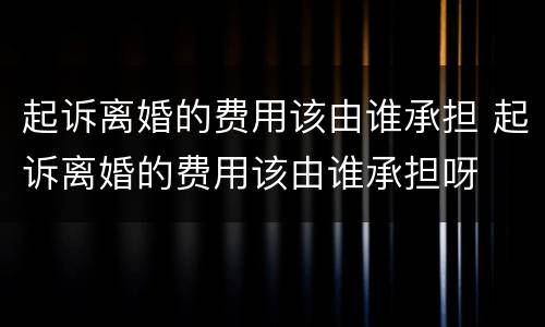 起诉离婚的费用该由谁承担 起诉离婚的费用该由谁承担呀