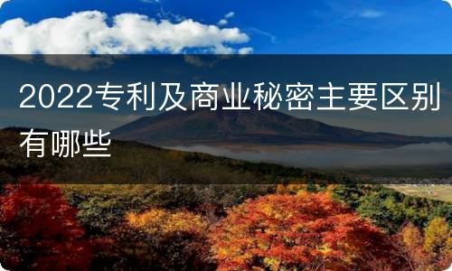 2022专利及商业秘密主要区别有哪些