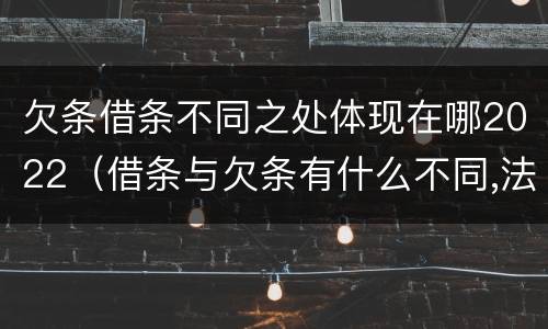 欠条借条不同之处体现在哪2022（借条与欠条有什么不同,法律上有什么见解）