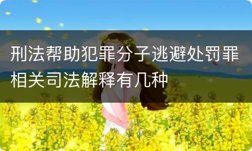 刑法帮助犯罪分子逃避处罚罪相关司法解释有几种