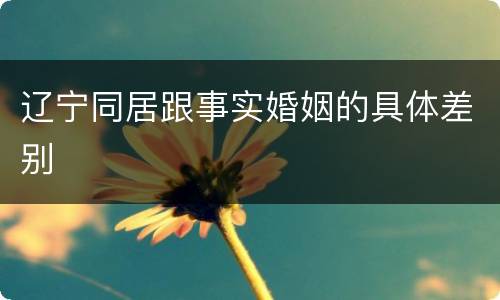 辽宁同居跟事实婚姻的具体差别