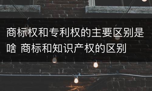 商标权和专利权的主要区别是啥 商标和知识产权的区别