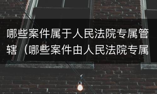 哪些案件属于人民法院专属管辖（哪些案件由人民法院专属管辖）