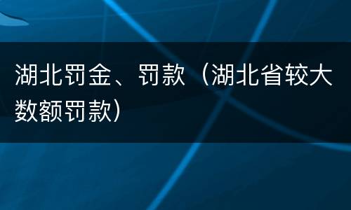 湖北罚金、罚款（湖北省较大数额罚款）