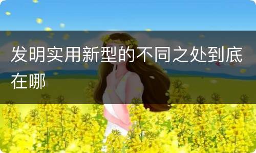 发明实用新型的不同之处到底在哪