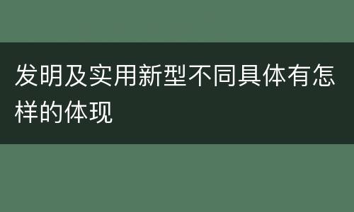 发明及实用新型不同具体有怎样的体现