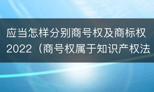 应当怎样分别商号权及商标权2022（商号权属于知识产权法律制度的是）