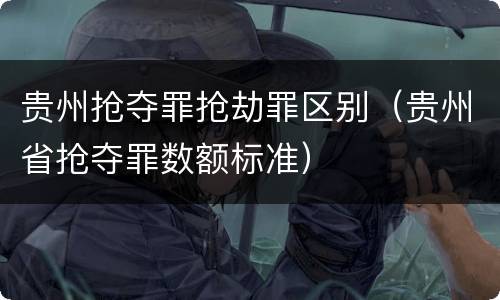 贵州抢夺罪抢劫罪区别（贵州省抢夺罪数额标准）