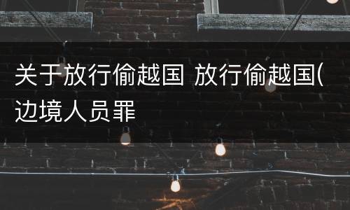 关于放行偷越国 放行偷越国(边境人员罪