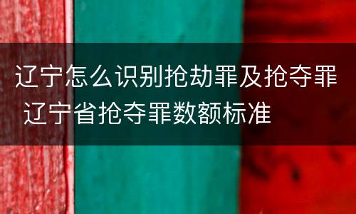 辽宁怎么识别抢劫罪及抢夺罪 辽宁省抢夺罪数额标准