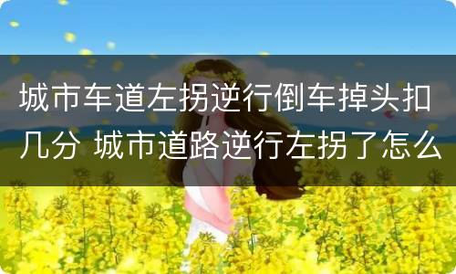 城市车道左拐逆行倒车掉头扣几分 城市道路逆行左拐了怎么处理