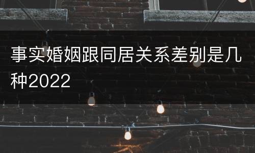 事实婚姻跟同居关系差别是几种2022