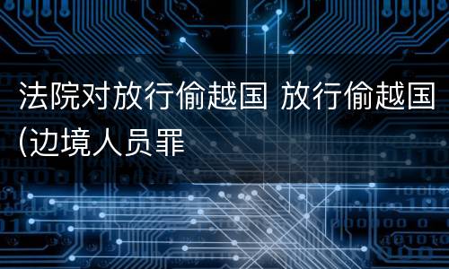 法院对放行偷越国 放行偷越国(边境人员罪