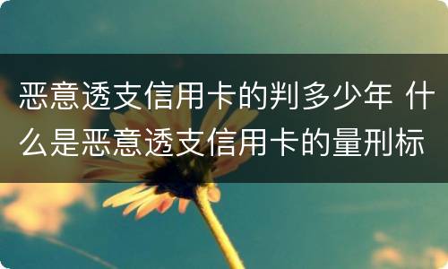 恶意透支信用卡的判多少年 什么是恶意透支信用卡的量刑标准