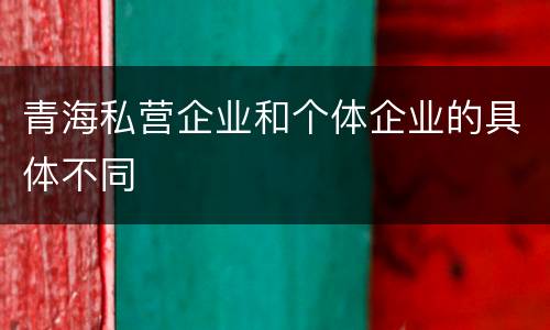 青海私营企业和个体企业的具体不同