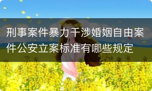 刑事案件暴力干涉婚姻自由案件公安立案标准有哪些规定