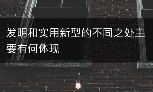 发明和实用新型的不同之处主要有何体现