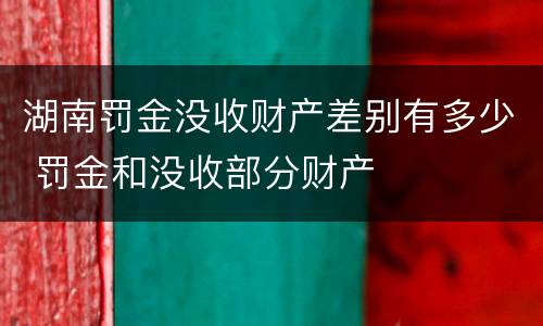 湖南罚金没收财产差别有多少 罚金和没收部分财产