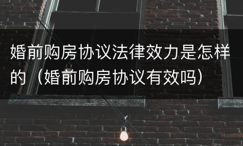 婚前购房协议法律效力是怎样的（婚前购房协议有效吗）