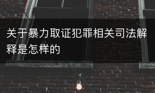 关于暴力取证犯罪相关司法解释是怎样的
