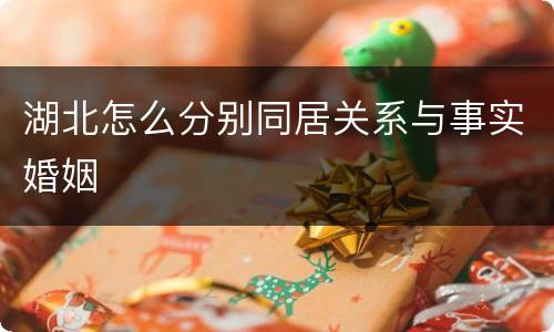湖北怎么分别同居关系与事实婚姻