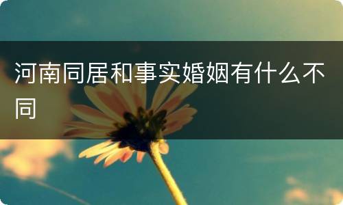 河南同居和事实婚姻有什么不同