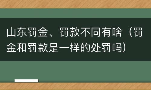 山东罚金、罚款不同有啥（罚金和罚款是一样的处罚吗）