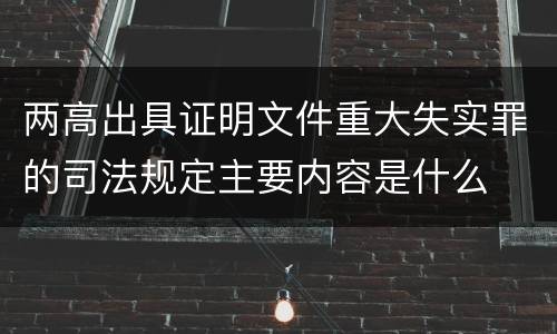两高出具证明文件重大失实罪的司法规定主要内容是什么