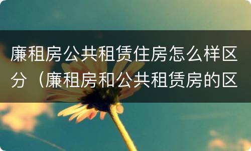 廉租房公共租赁住房怎么样区分（廉租房和公共租赁房的区别）