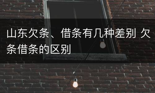 山东欠条、借条有几种差别 欠条借条的区别