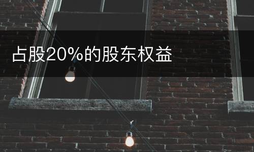 占股20%的股东权益