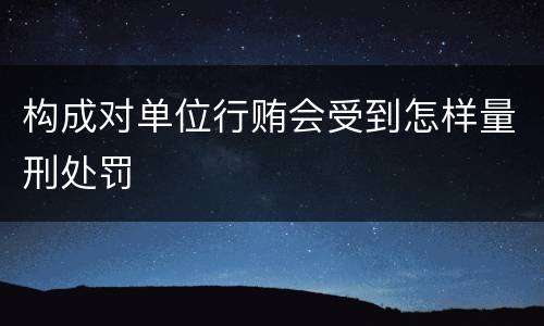 构成对单位行贿会受到怎样量刑处罚