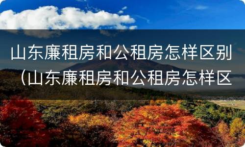 山东廉租房和公租房怎样区别（山东廉租房和公租房怎样区别的）