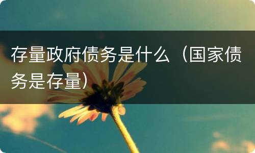 存量政府债务是什么（国家债务是存量）
