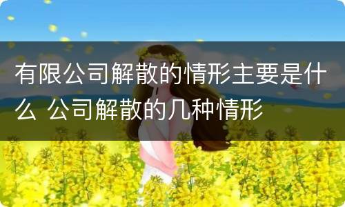 有限公司解散的情形主要是什么 公司解散的几种情形